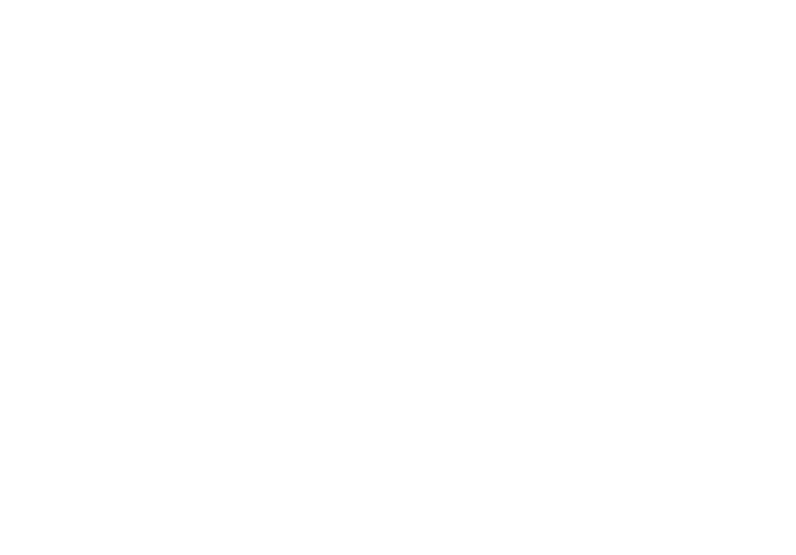 Baupanel System